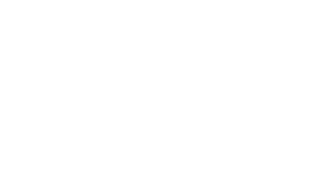 Building Code Pro Logo